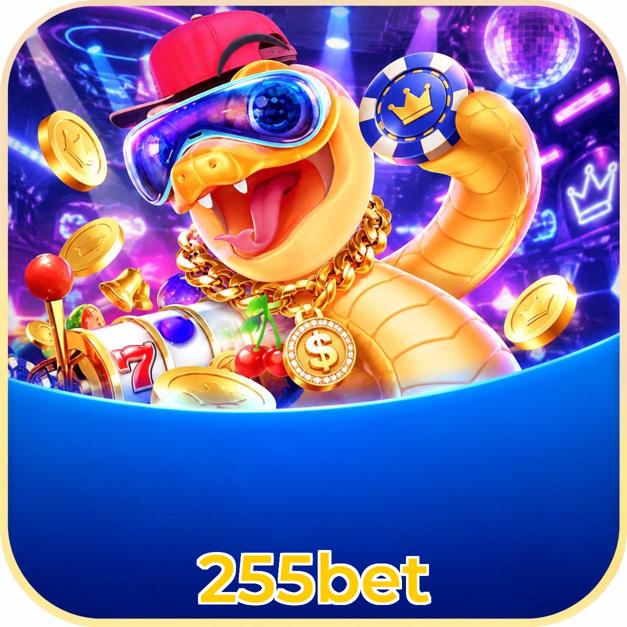 255bet Interface